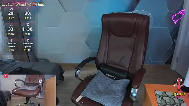 SteveTiger webcam