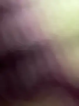 jellydicks webcam