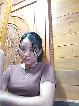 Td3di webcam