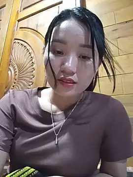 Td3di webcam