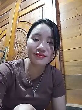Td3di webcam