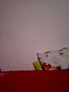 altinya webcam