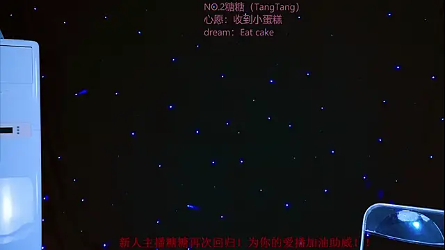 CCTW-100 webcam