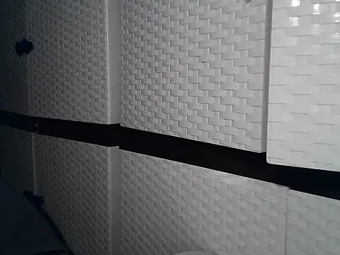 SultryYhang webcam