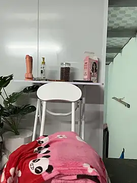 Nana-19 webcam