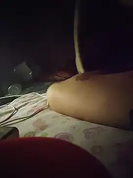 -Tara-a webcam