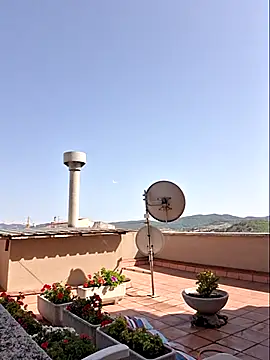 Josepigual007 webcam