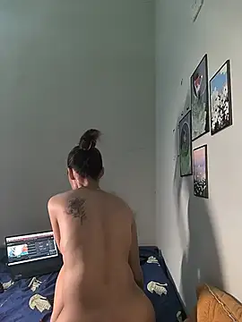Pu688 webcam