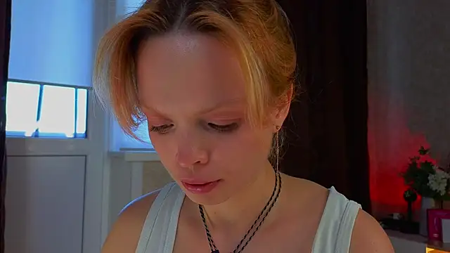 sinteas webcam