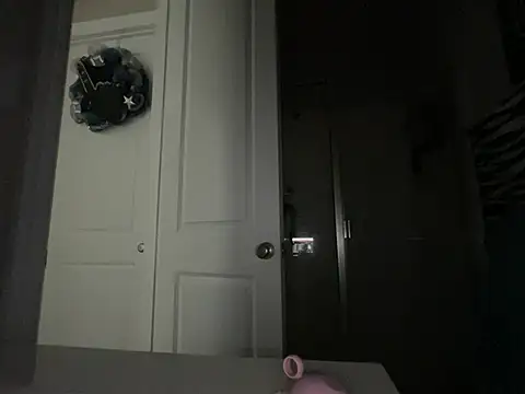 wynterheat webcam