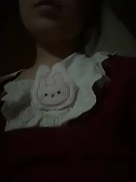 Usagi-1 webcam