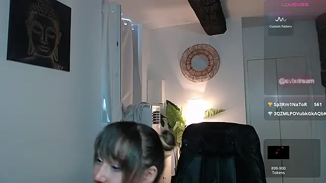 Crystal-dreamt webcam