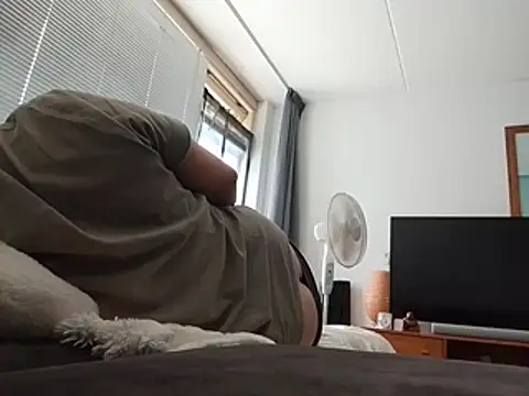 piepee webcam