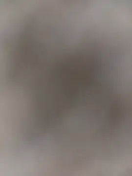 Santosadrielart webcam