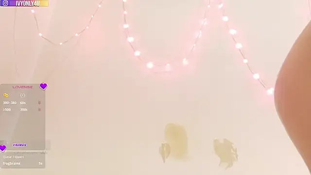 Switch_n_control webcam
