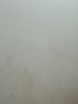 Baoduyen456789 webcam