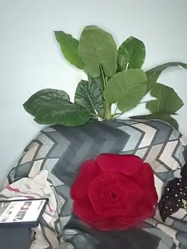 Cupid_Mayra webcam