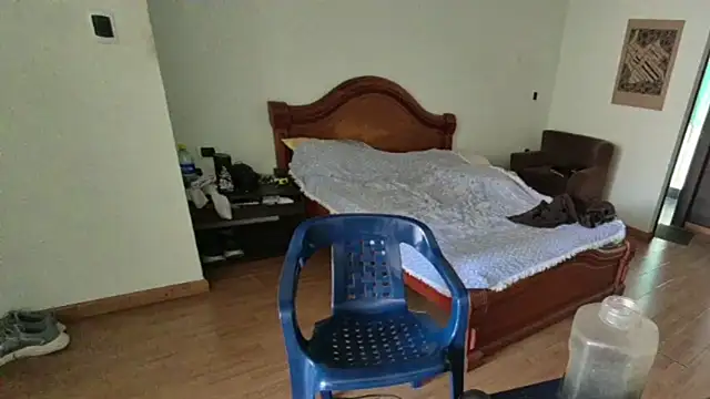 lipzard webcam