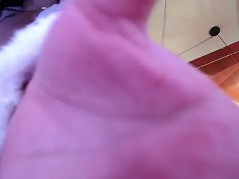 VALENTINA_PURPLE webcam