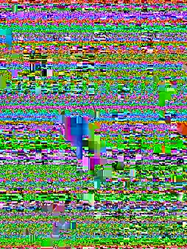 CocoLatina webcam