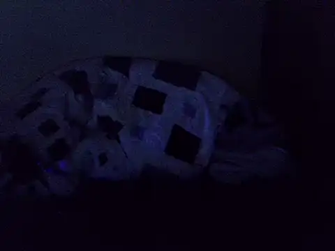 Sweet_carol2 webcam
