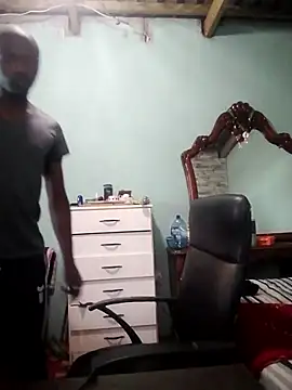 DigCrok webcam