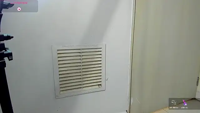 owen_freid webcam