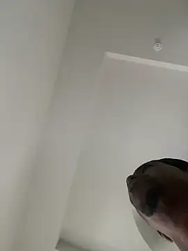 Ringman12 webcam