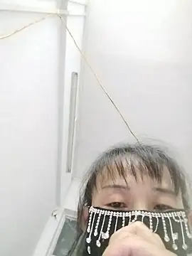 w571691 webcam
