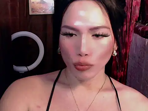 Chulafox webcam