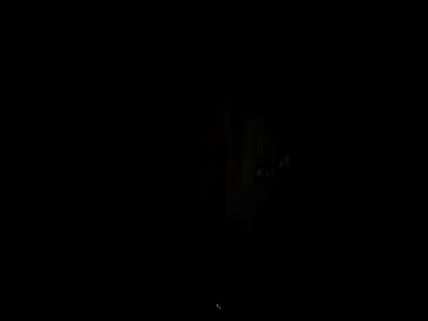 Thisizhakim webcam