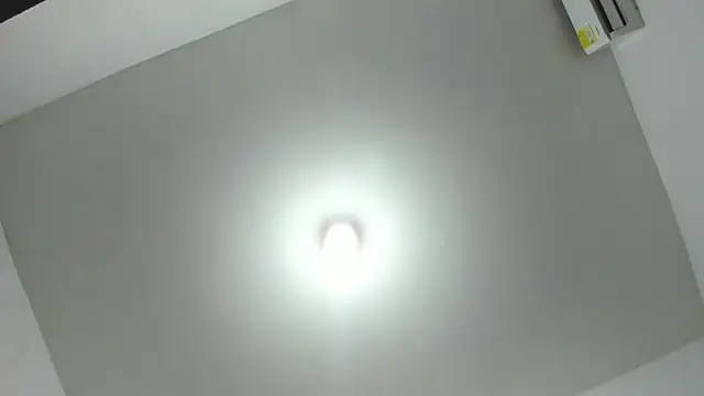 DilanAndKing webcam