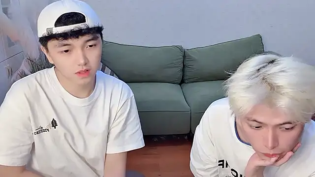 GF_001 webcam