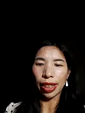 Tho-bibi webcam
