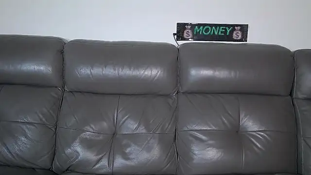 CrazyDom1 webcam