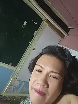 manilafoxts webcam
