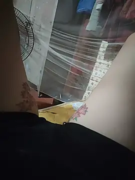 -Tara-a webcam
