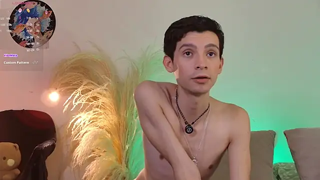 VicenteFerrer webcam