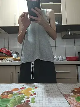 vulpe8400 webcam