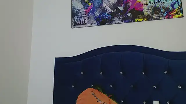 grey___27 webcam