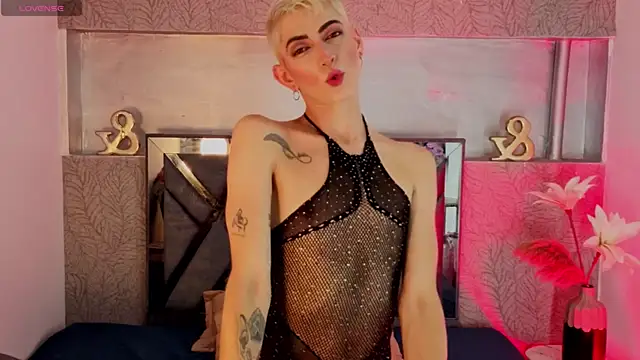 dominic_thailor webcam