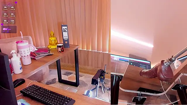 Daelith webcam