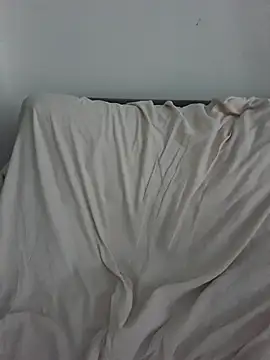 Hiddenleon webcam