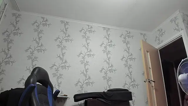 SanFrantsisko webcam