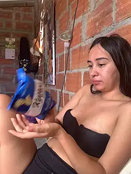 RAKEL37 webcam