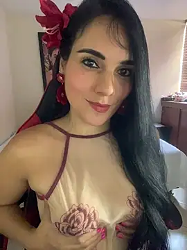 Miaswwe webcam