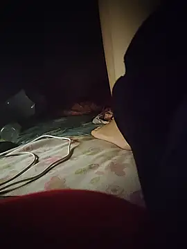 -Tara-a webcam