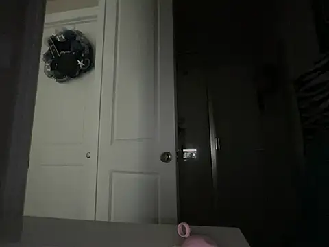 wynterheat webcam