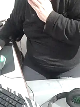 12Paradarte webcam