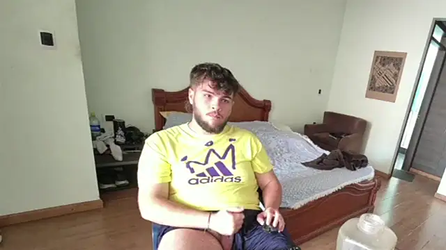 lipzard webcam